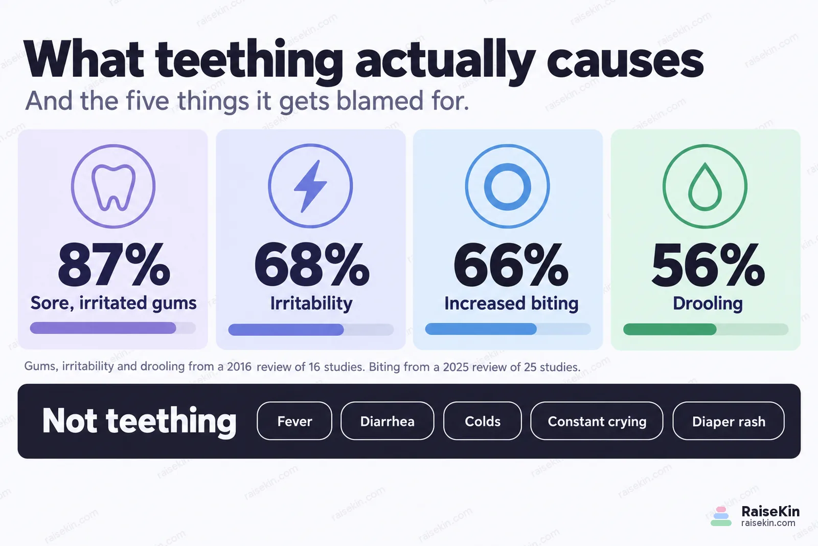A bar chart of how often each teething sign is reported: sore, irritated gums 87%, irritability 68%, increased biting and chewing 66%, drooling 56%. Gums, irritability and drooling come from a 2016 review of 16 studies, biting from a 2025 review of 25 studies. Below a dividing rule, five things listed as not teething: fever, diarrhea, colds and runny noses, constant crying, and diaper rash.